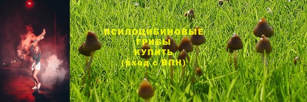 apvp Балабаново
