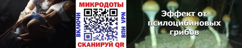 Галлюциногенные грибы мухоморы  мега онион  Благовещенск 